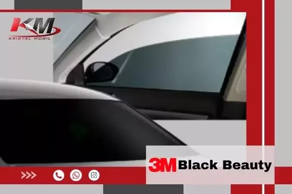 3m black beauty