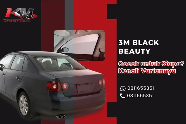 3M Black Beauty